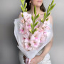 Букет из 3 розовых гладиолуса